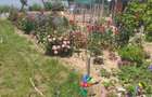 HORIA - 3 CAMERE ,SUPRAFATA 100 MP,TEREN 3000 MP CU DESCHIDERE LA LAC - 14