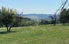 Teren 11.000 mp-ideal cabana/ferma-Unirea-Valea Slatinitei - 5
