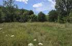 TEREN 6.858 MP – PIATRA-NEAMȚ, VALEA ALBĂ – POTENȚIAL DEZVOLTARE REZIDENȚIALĂ - 2