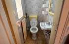 Apartament spațios cu 1 cameră, 71 mp, în clădire istorică, pe malul râului Bega - 7