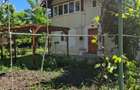 Breaza-casa renovata cu livada pe rod - 6