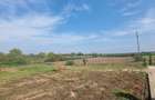 Industrial PARK for Sale – 4 Warehouses with Land, Near Bucharest (INTRAVILAN) - 18