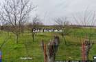 Vanzare teren intravilan in Bucov, Prahova, 1728 mp, posibilitate 3457 mp - 1