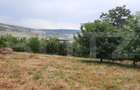 Teren intravilan construibil 2000 mp, Valea Chintaului, curti constructii! - 2