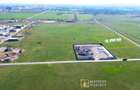 Teren industrial de vânzare 10.000 mp, PUZ aprobat, acces DN7 – Arad - 3