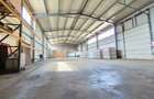Hală producție + birouri, 2.600 mp, Parc Industrial 1 Borș – Oradea - 4