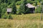 Teren intravilan Piatra Fantanele 17000 mp cu deschidere  DN17