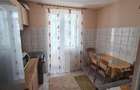Apartament 1 camera 41 mp utili pivnita si balcon inchis Turnisor - 2