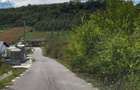 Teren Intravilan 2900mp Criseni - Pret 102.000eur neg - 3