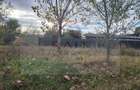 Teren intravilan de vânzare 760 mp Curtea de Argeș Sud Rezidențial - 4