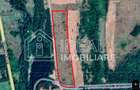 Teren extravilan 6.500 mp – Cârțișoara | Comision 0% - 9
