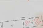 Teren Balotesti Nord Bucharest lot 440 mp cu proiect casa P+1. Investitie. - 13