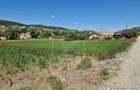 Teren intravilan 2000 mp – Popesti (Baciu) Ideal pentru casă, grădină și livada - 3