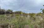 Teren 3400 mp, zona Carcea la E70/str Craiovei - 3