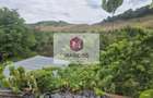 Vand casa 4 camere Moniom - 13