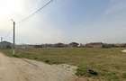 DOMNESTI - 5,200 M²- Strada Campul cu Flori - 5
