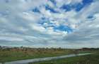 Teren intravilan, 6900 mp, zona Ghercesti - 1