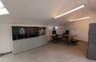 Loft spatios la Cismigiu - 4