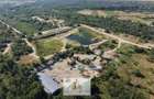 Platformă Industrială 38.615 mp | Hale | Dărăști-Ilfov - 14