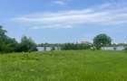 Damaroaia-Coralilor Deschidere Lac Grivita - 3