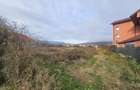TEREN INTRAVILAN 10.700 mp  DE VANZARE  IN TG.OCNA - 4