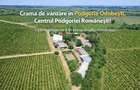 Cramă complet funcțională in inima Podgoriei Odobești - 1