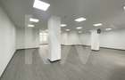 Spatiu comercial open space stradal 164mp FINISAT Dedeman D-na Stanca - 3