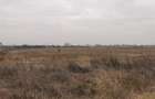 Teren Exclusiv 4.550 mp Ciolpani - Zona Narrative / Pădurea Snagov - 6