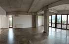 Apartament duplex 202mp Floreasca - 2