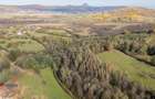 Teren intravilan în Zărnești, zona Tohanita, cu pădurice și parau curg - 7