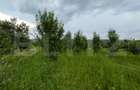 Teren intravilan, 4500 mp, zona Voinesti - 7