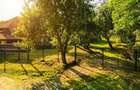 Teren de 11700 mp în mijlocul naturii la 2 ore de București - 1