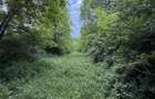 Teren plat-intravilan -3800 mp, cu pădurice și ieșire la râu! - 17