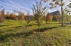 Proprietatea deosebita cu 4000mp teren, Barnova - 9