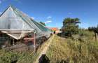 Casa de Vanzare in Lancram,  – 3 camere, Terasa, 900 mp Teren - 12