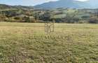 O oportunitate care îți atinge sufletul: Teren de vis la ieșirea din Rășinari - 7