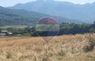 Teren extravilan-pasune, 6,300mp Rasnov / Soseaua Risnov-Paraul Rece - 1