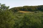 10 hectare teren plus casa la munte in Buces, Hunedoara - 11