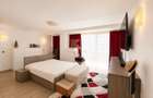 Apartament tip loft cu șemineu, situat în Silver Mountain Resort - 6