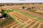 RECO Teren industrial in Nojorid la doar 6km de Oradea - 6
