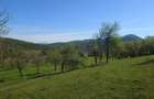 Teren intravilan si extravilan Luncoiu de Jos - 7