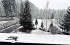Casa de vacanta cu teren 2000mp Valea Avrigului - 28
