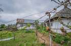 Casă din chirpici, bucătărie de vară și 1.34 ha de teren, Ardeoani - 4