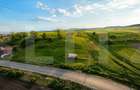 Teren extravilan de vanzare, 9000 mp - Ilieni - 1