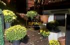 Vila Dorobanti 320 mp, strada privata, ideala rezidential sau business premium - 10