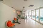 Apartament 4 camere Aviatorilor - Mobilat - 21
