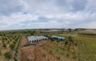 Livadă de 3,6 hectare în Iratoșu – Oportunitate - 9