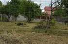 Teren intravilan 1.000 mp, front 18 m, Mogoșoaia - 2