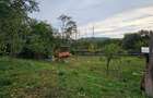 Teren 1000 mp cu tiny house, priveliste spre rau si padure- la 1h30 de Bucuresti - 10