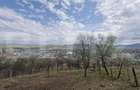 Teren intravilan Viisoara cu panorama asupra orasului. 3000 euro/ar. - 3